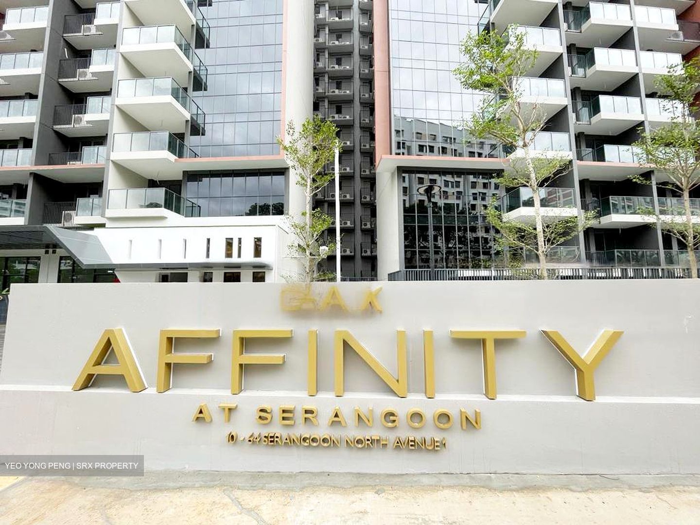 Affinity At Serangoon (D19), Apartment #465714741